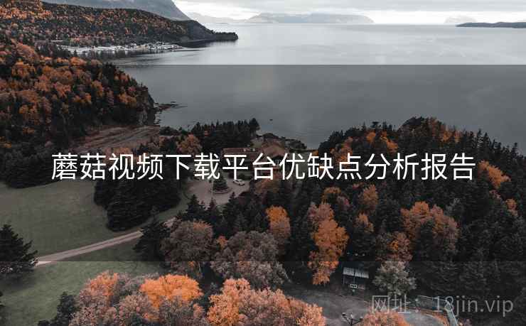 蘑菇视频下载平台优缺点分析报告