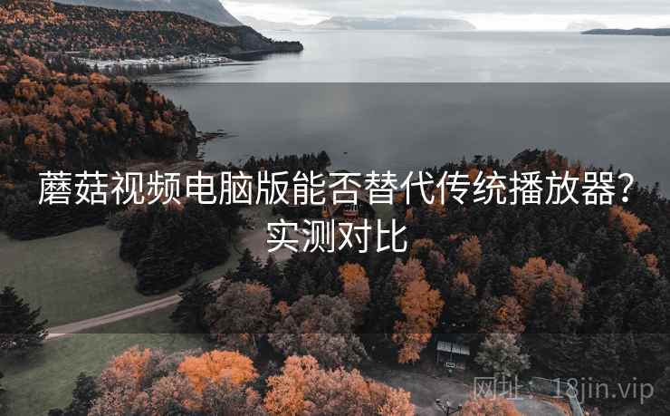 蘑菇视频电脑版能否替代传统播放器？实测对比