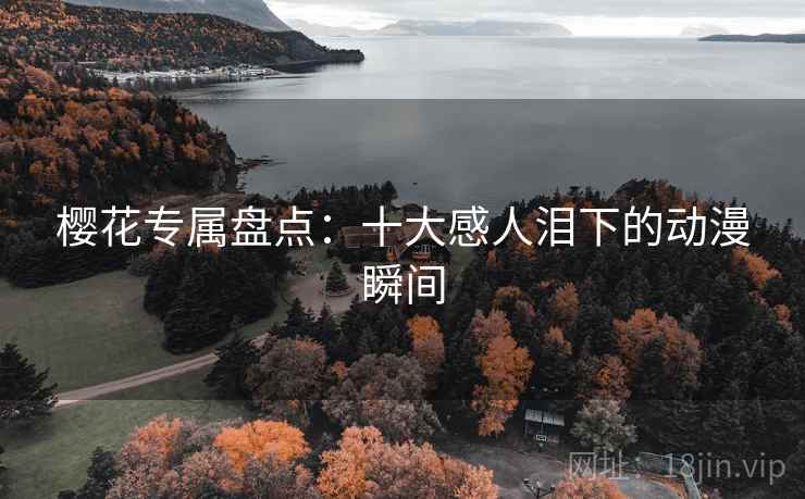 樱花专属盘点：十大感人泪下的动漫瞬间