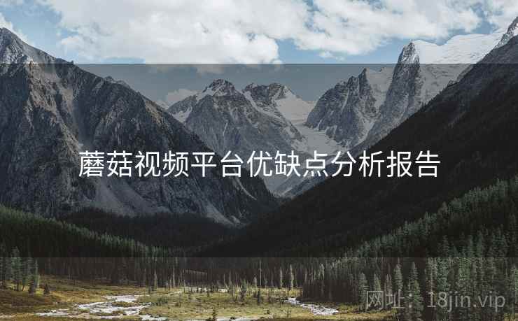 蘑菇视频平台优缺点分析报告