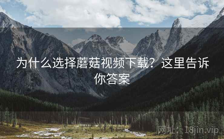 为什么选择蘑菇视频下载？这里告诉你答案